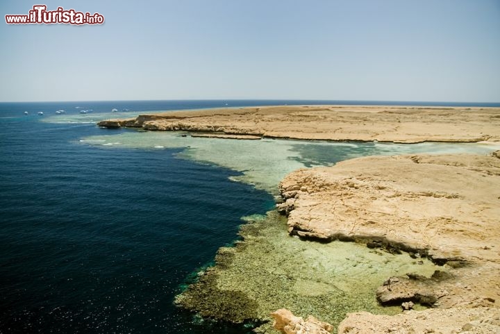 Immagine La costa di Ras Mohammed: qui si trovano alcuni dei siti d'immersione del Mar Rosso più importanti dell'Egitto - © kosmos111 / Shutterstock.com