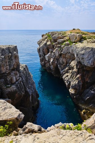 Immagine Costa Rocciosa in Croazia: ci trovamo sull'Isola di Lopud in Dalmazia, vicino alla antica Repubblica di Ragusa, oggi Dubrovnik - © Tatiana Popova / Shutterstock.com