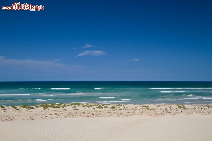 Immagine La selvaggia costa nord di Boa Vista a Capoverde - © p.schwarz / Shutterstock.com