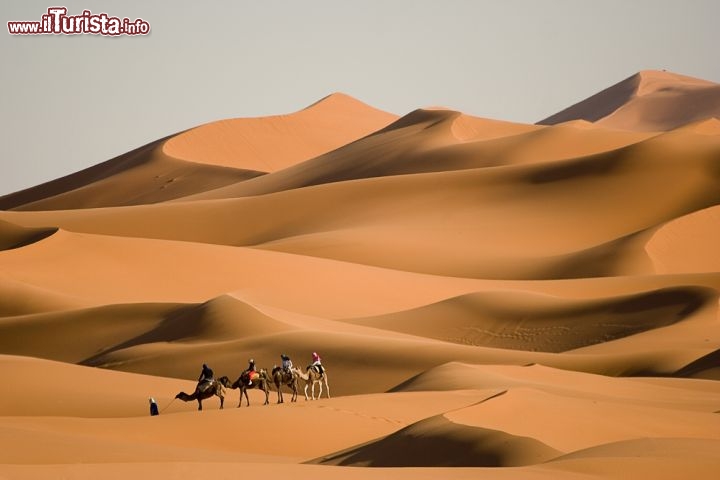 Immagine Dromedari in tour sulle dune di Merzouga. Anche se si tratta di un piccolo campo di Dune, l'Erg Chebbi del Marocco riesce comunque a comincare una senzazione di vastità e di luogo senza tempo, tipico di molte zone del deserto del Sahara - © ricardomiguel.pt / Shutterstock.com