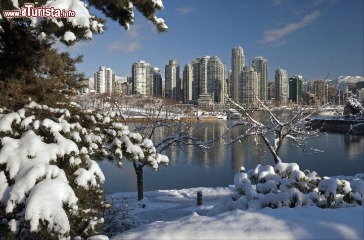 Immagine I grattacieli di Vancouver (British Columbia, Canada) e l'Isola di Granville in una limpida giornata di inverno, impreziositi dalla neve - © Josef Hanus / Shutterstock.com