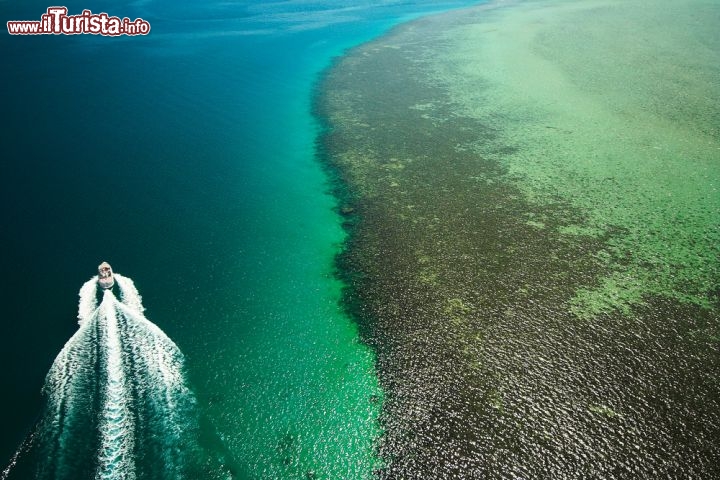 Immagine Escursione in barca lungo il reef di El Gouna, la grande barriera corallina del Mar Rosso, in Egitto - © Nneirda / Shutterstock.com