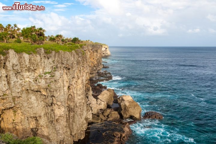 Immagine Falesia sul Pacifico, ci troviamo sull'isola di Tongatapu - © Naska Raspopina / Shutterstock.com