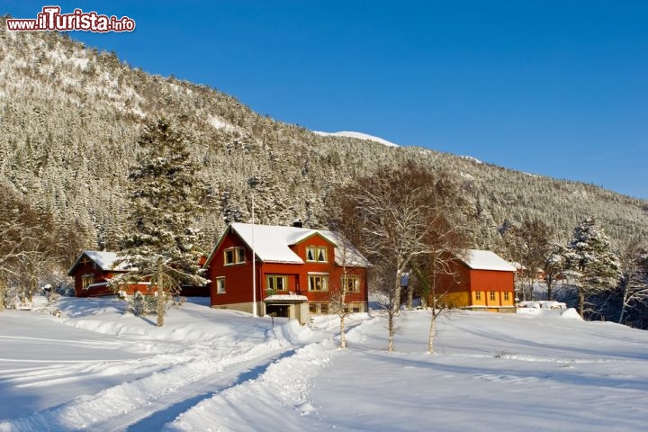 Immagine Neve sulle fattorie di Molde, Norvegia - A caratterizzare questa località della penisola scandinava è un clima temperato e mite rispetto a quello dell'entroterra con estati brevi ma decisamente gradevoli affiancate da inverni non troppo rigidi. Nei mesi invernali le nevicate sono comunque piuttosto abbondanti come si può ben vedere da questa immagine che ritrae alcune tipiche fattorie in legno immerse in un suggestivo paesaggio innevato © Robert Cumming / Shutterstock.com