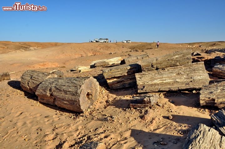 Immagine Foresta pietrificata nel deserto del Sahara, in Nubia vicino a Karima in Sudan