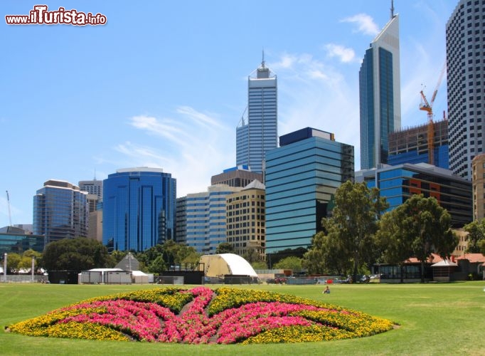 Immagine Giardino in centro a Perth, Australia, con i grattacieli sullo sfondo. 37677871