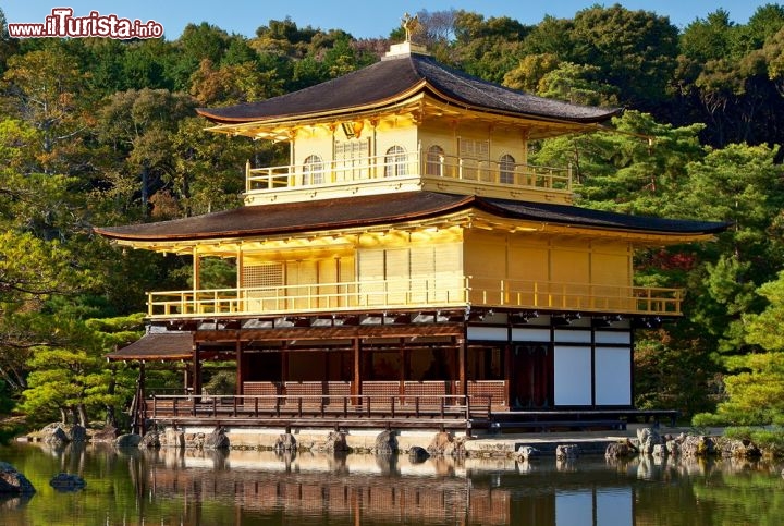 Immagine Golden Temple di Kyoto, Giappone - E' uno degli edifici più popolari e visitati di tutto il mondo, meta ogni anno di un gran numero di turisti. La scelta dell'oro come materiale per ricoprire esternamente il tempio è dovuta al forte valore simbolico di questo materiale pregiato che purifica da ogni tipo di inquinamento e pensiero negativo © Thomas La Mela / Shutterstock.com