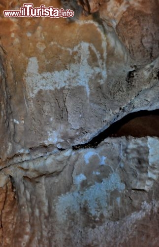 Immagine Graffiti nella Djara Cave, Egitto: incisioni rupestri nella Sala delle Gazzelle - In collaborazione con I Viaggi di Maurizio Levi