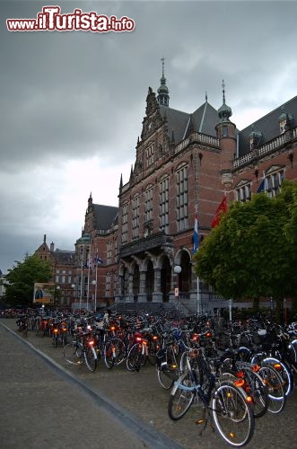 Immagine Groningen bici all'università, una delle più importanti di tutti i Paesi Bassi