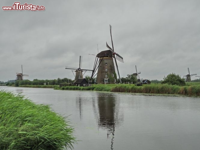 Immagine Gruppo mulini a vento Kinderdijk, vicino Rotterdam (Olanda).