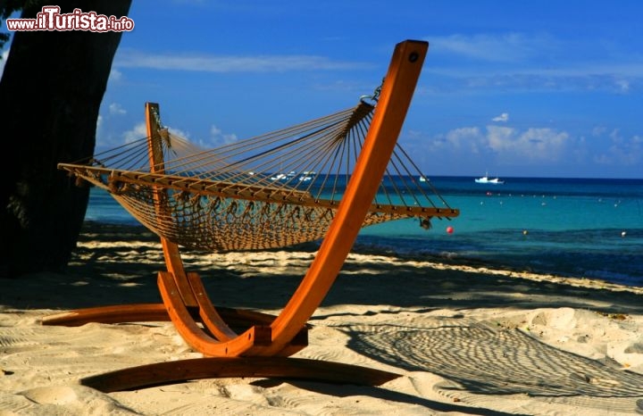 Immagine A Paynes Bay, Barbados niente di meglio che il relax su di una amaca - Fonte: Barbados Tourism Authority