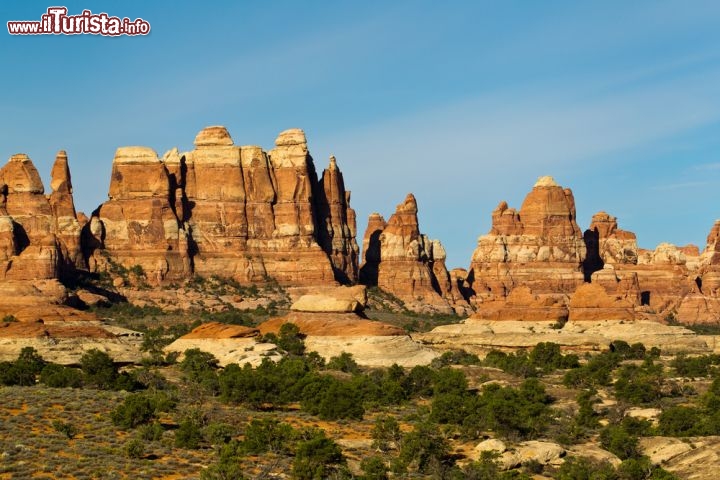 Immagine I Needles del Canyonlands National Park (Utah, USA) fotografati all'alba. L'angolo sud-orientale del parco si chiama Needles District, ovvero "Distretto degli aghi", proprio per le guglie appuntite di roccia colorata che dominano l'area. Sono così imponenti da ricordare uno skyline di grattacieli, ma la loro potenza selvaggia non ha niente da invidiare a una grande città - © Keneva Photography / Shutterstock.com