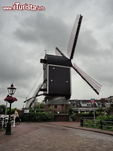 Immagine Il mulino a vento De Valk a Leiden, in  Olanda