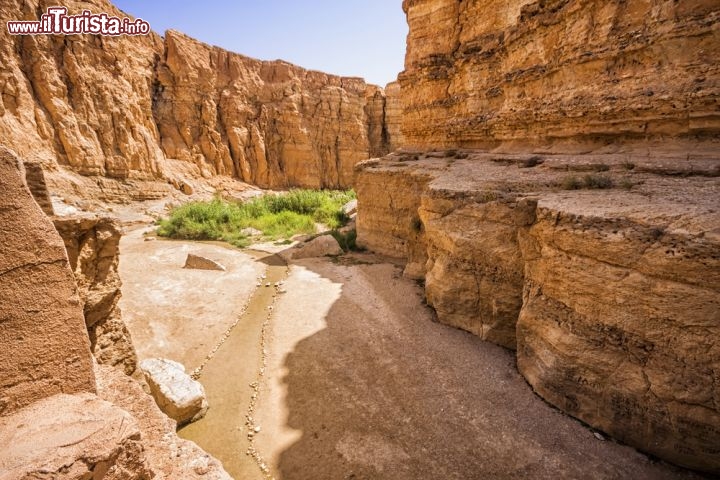 Immagine Fotografia del magnifico Canyon di Tamerza, formato darocce sedimentarie, nel cuore della Tunisia - © Marques / Shutterstock.com