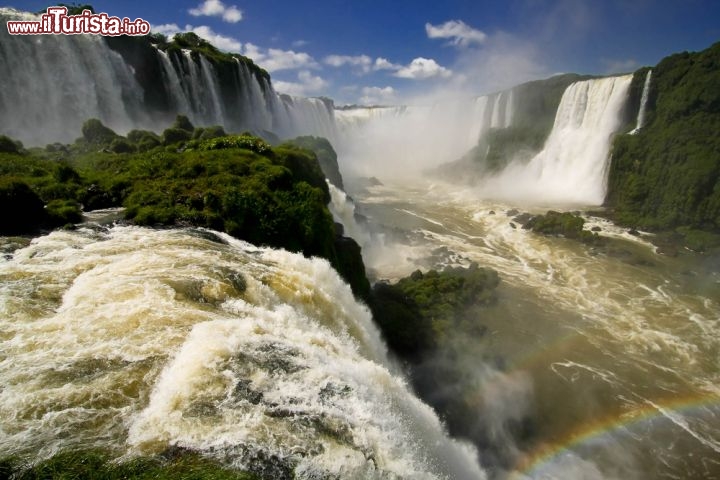 Immagine Il grandioso anfiteatro delle cascate di Iguazu in Brasile - © Neale Cousland / Shutterstock.com