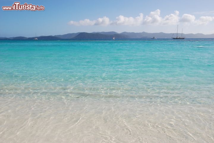 Immagine Il mare turchese di Jost Van Dyke è ideale per praticare lo snorkeling e le immersioni subacquee (scuba diving). Siamo ai caraibi, nel gruppo delle Isole Vergini Britanniche (BVI) - © Joel Blit / Shutterstock.com