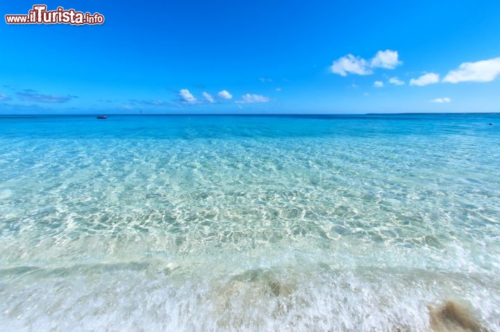 Immagine Il paradiso tropicale ed il mare trasparente di Tonga - © Andrea Izzotti / Shutterstock.com