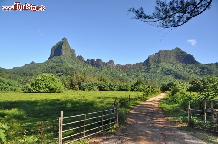 Immagine Il verde di Moorea e il picco vulcanico di Roto Nui, famoso per uno splendido belvedere panoramico