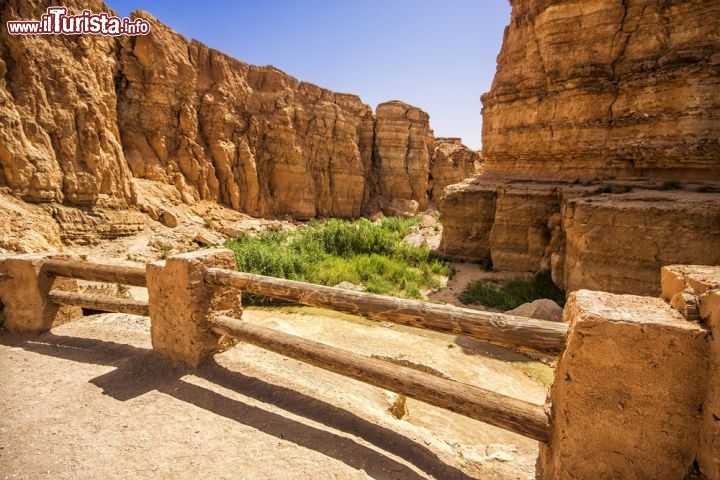 Immagine Ingresso della gole di rocce più famosa della regione di Tozeur: il canyon dell'Oasi di Tamerza (Tunisia) - © Marques / Shutterstock.com