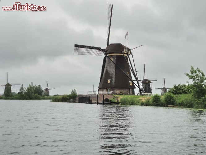 Immagine Kinderdijk il patrimonio dell'Umanità dell'Unesco ospitato in Olanda.