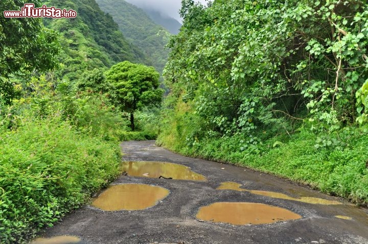 Immagine La strada difficile e selvaggia della valle del fiume Papenoo a Tahiti