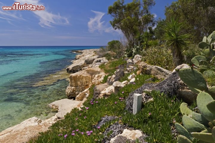 Immagine La costa vicino a Agia Napa con mare smeraldo e macchia mediterranea a Cipro - © Pawel Kazmierczak / Shutterstock.com