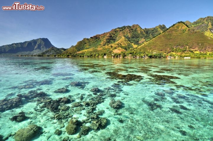 Immagine La laguna nord dell'isola di Moorea in Polinesia. Notare la trasparenza dell'acqua e l'abbondanza di formazioni coralline che rendono entusiasmante lo snorkeling