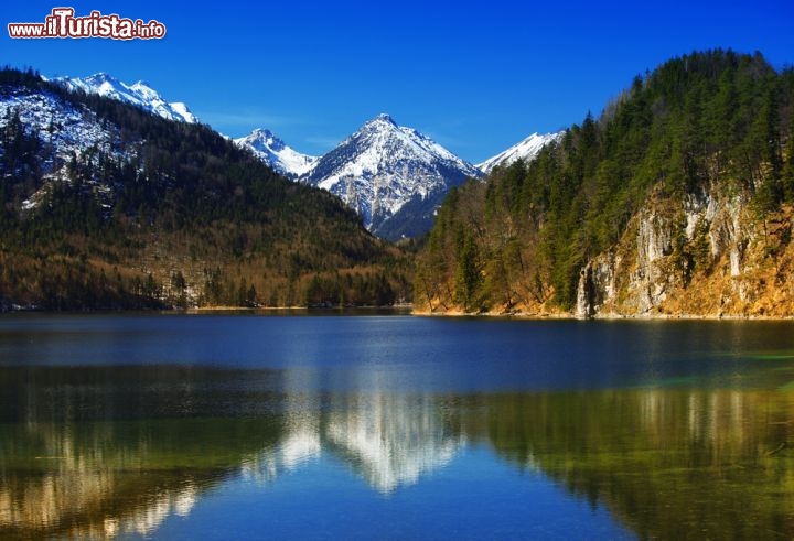 Immagine Lago di Hohenschwangau e Alpi della Baviera (Germania) 207469330 - © Ammit Jack / Shutterstock.com