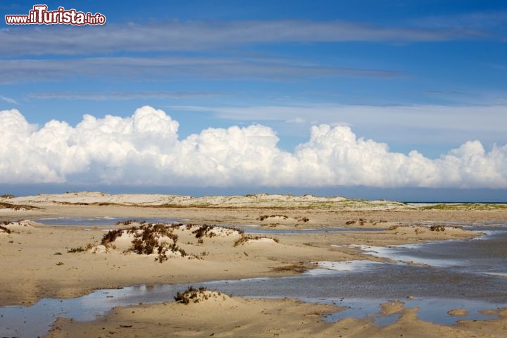 Immagine Lagune costiere nell'isola di Djerba Tunisa - © Irina Fischer / Shutterstock.com