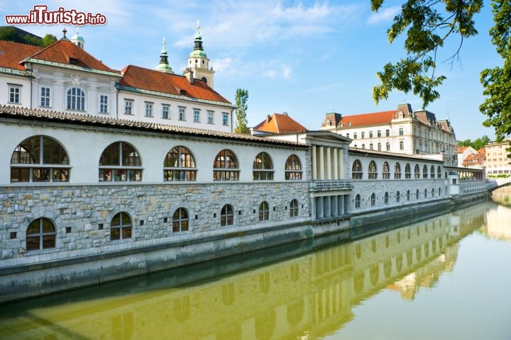 Immagine Lubiana si riflette nelle acque della Ljubljanica, il fiume della capitale della Slovenia - © CCat82 / Shutterstock.com