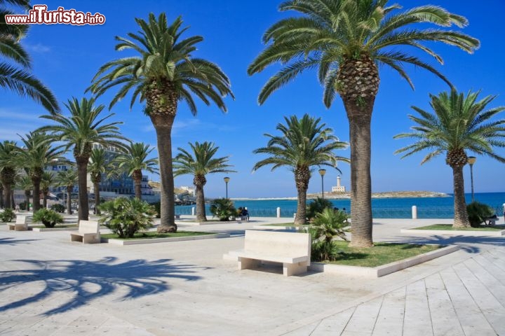 Immagine Lungomare di Vieste, visto da Piazza Kennedy. In questo tratto di costa si trovano le migliori spiagge del Gargano, e del nord della Puglia - © Quanthem / Shutterstock.com