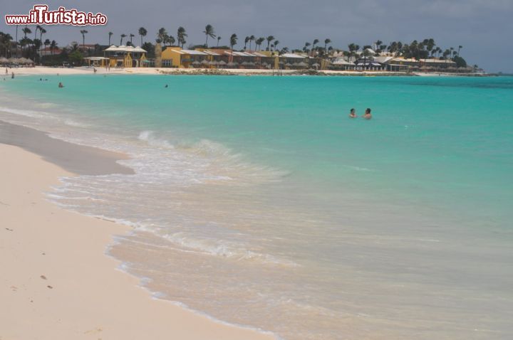 Immagine La spiaggia di Manchebo Beach, si trova sulla costa ovest di Aruba. Qui ci troviamo sull'arenile del Tamarijn All inclusive Resort