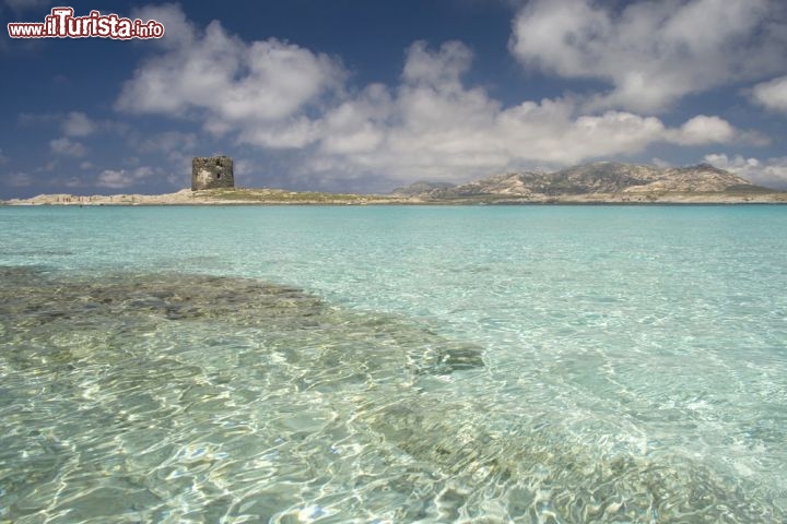 Immagine Mare limpido e trasparente a Stintino: ci troviamo sulla secca della spiaggia della Pelosa, una delle attrazioni più famose della Sardegna settentrionale  - © ghido / Shutterstock.com