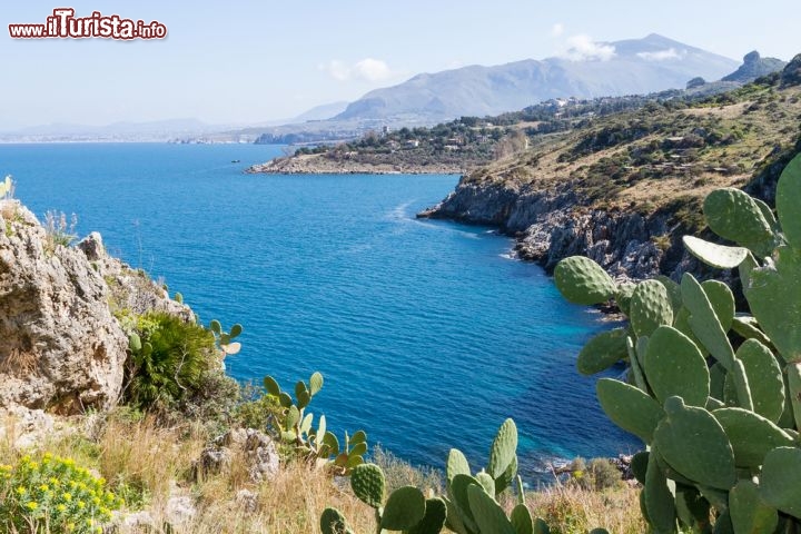 Immagine Mare lungo la Riserva dello Zingaro, Sicilia occidentale - © RZ Design / Shutterstock.com