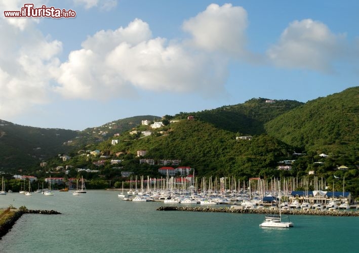 Immagine La marina di Road Town, a Tortola - © Ramunas Bruzas / Shutterstock.com