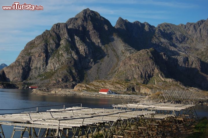 Immagine Monte Vagakallen Norvegia Lofoten Henningsvaer essicatori stoccafissi