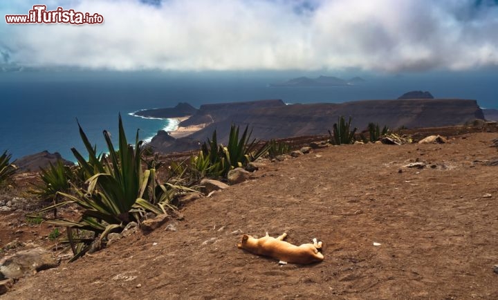Immagine Monte Verde a São Vicente (Capo Verde) il panorama verso Calhau - © Frank Bach / Shutterstock.com
