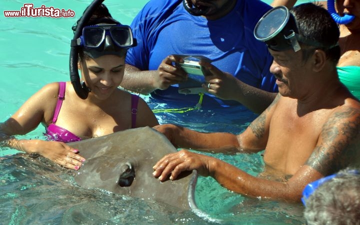 Immagine Moorea, Polinesia incontro con una razza nella laguna