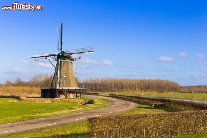 Immagine Mulino a vento alla periferia di Zwolle, Paesi Bassi - © Semmick Photo / Shutterstock.com