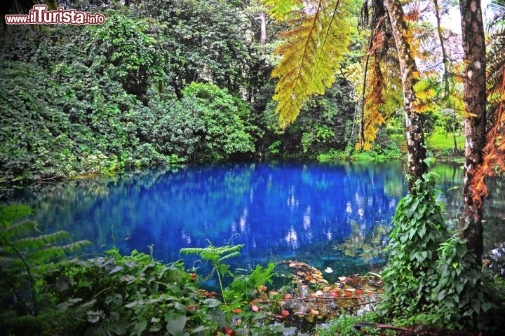 Immagine Nanda Blue Hole, il magnifico lago azzurro di Espiritu Santo, arcipelago di Vanuatu - © Karin Wassmer / Shutterstock.com