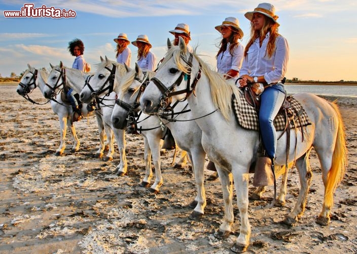 Immagine Paesaggio della Camargue e gruppo delle ragazze di Donnavventura in escursione con i famosi cavalli del sud della Francia - © DONNAVVENTURA® 2015 - Tutti i diritti riservati - All rights reserved