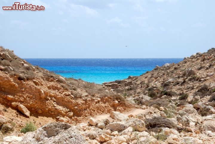 Immagine il brullo paesaggio e l'attraente mare di Lampedusa, arcipelago delle isole  Pelagie, al centro del Mediterraneo - © gabrisigno / Shutterstock.com
