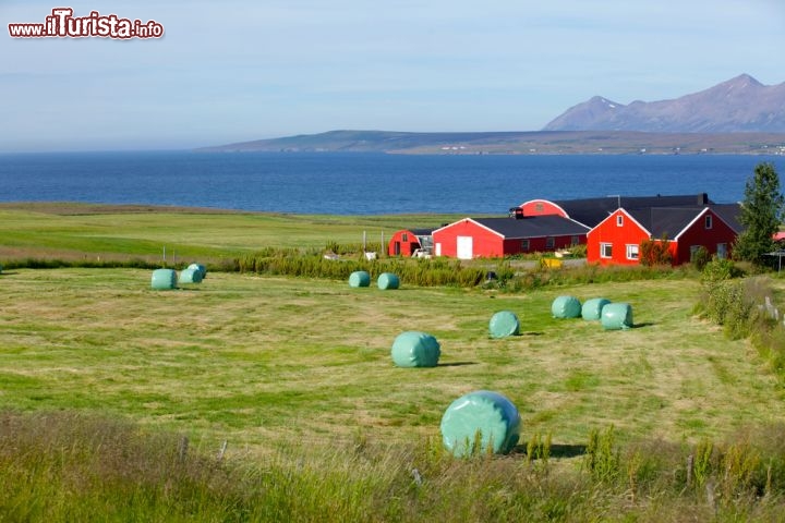 Immagine Seydisfjordur è adagiato nell'omonimo fiordo, lungo la costa orientale islandese. E' un luogo magico, dove si riscopre l'essenza delle cose: intorno al villaggio si estendono a perdita d'occhio soltanto prati, montagne, il blu del mare e quello del cielo - © Max Topchii / Shutterstock.com