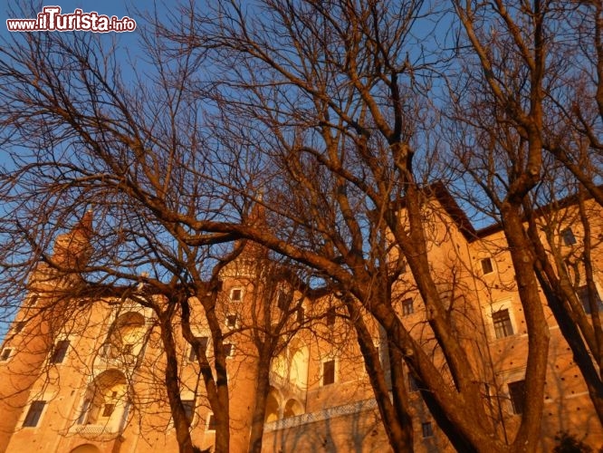 Immagine Il tramonto colora il Palazzo Ducale dal Giro dei Torricini