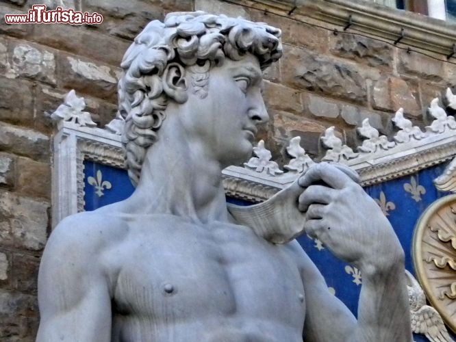 Immagine Particolare della copia della statua di Michelangelo, il  David, a Firenze. Questa scultura  rappresenta i canoni più alti dell'arte rinascimentale italiana. L'originale si trova nella Galleria dell'Accademia.