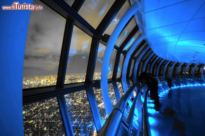 Immagine Panorama dalla torre Sky Tree Tokyo, la più alta del Giappone. La piattaforma d'osservazione si trova a 450 metri di altezza - © stepmorem / Shutterstock.com