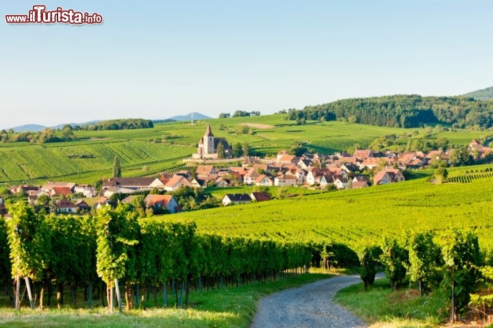 Immagine Paesaggio bucolico del villaggio di Hunawihr, lungo la strada dei vini in Alsazia - © Richard Semik / iStockphoto LP.