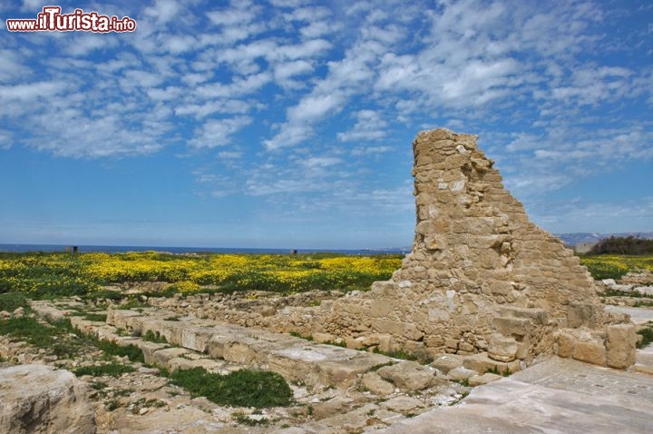 Immagine Il parco archeologico di Kato Paphos (Cipro), dichiarato dall'UNESCO Patrimonio dell'Umanità nel 1980, include resti preistorici, monumenti di età classica e costruzioni medievali. Sono particolarmente belli i pavimenti in mosaico delle ville romane. Tutt'intorno alle rovine, nella bella stagione, fioriscono le gerbere gialle.