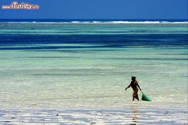 Immagine Una pescatrice di molluschi in caccia luno una spiaggia di Zanzibar in Tanzania - © lkpro / Shutterstock.com