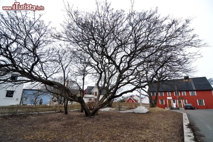 Immagine Piazza villaggio Henningsvaer Norvegia borgo pescatori Lofoten